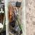 Tenpoint Crossbow 13 thumbnail