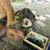 Puppies 2 thumbnail
