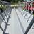 Feed Wagons, Feed bunks *NEW* 4 thumbnail