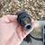 Drill Doctor XP Drill Bit Sharpener 3/32" to 1/2" With Bit Holder Nice 13 thumbnail
