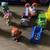 Paw Patrol Story Book, figures a playmat and  3 books 4 thumbnail