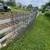 Cattle Panels - 16' X 50" 2 thumbnail