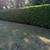 🌳Yard Clean up, Black Berry, Overgrown grass Clean up 22 thumbnail