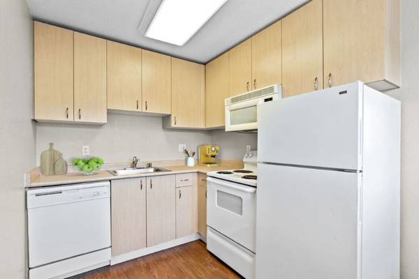 $2,595 / 516ft2 - Spacious Studio In Mountain View. (mountain view)63824144644225121