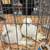 Fancy Pigeons 10 thumbnail