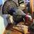 Man Cave Decor and Collectibles 23 thumbnail