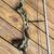 Compound Bow 3 thumbnail