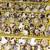 Quail,  rabbits, eggs,  muscovy ducklings 4 thumbnail