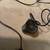 3 small cheap mics (1 condenser?) 4 thumbnail