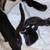 KITTENS 2 thumbnail