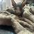 Hairless kittens 8 thumbnail