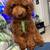 Toy poodle 1 thumbnail