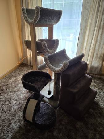 2 Cat Towers and Soft Steps 1
