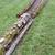 Red Cedar posts 1 thumbnail