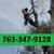 Professional Tree Removal, Trimming, Pruning, Full Time Arborist 4 thumbnail
