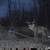 Lake Hunting Lease - Must See!!! 9 thumbnail