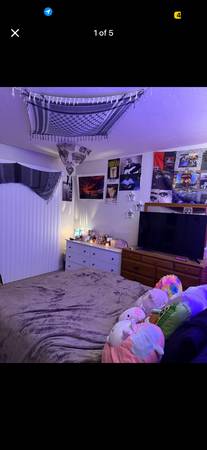 Looking for lease takeover urgently!! 1