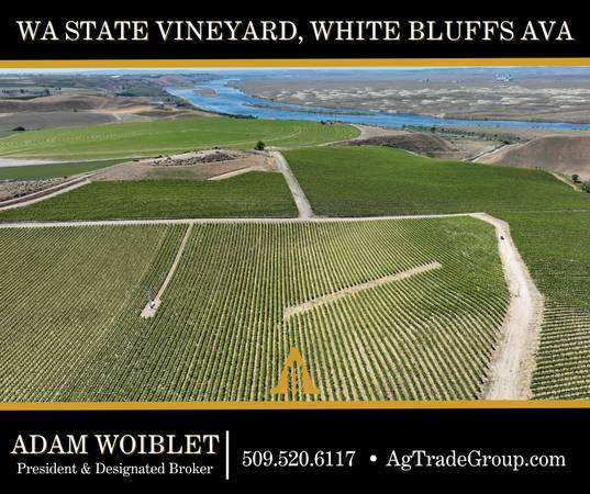 281.90 +/- Acres Vineyard 1