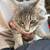Kitten! 3 thumbnail