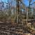 3 Acres For Sale! 12 thumbnail
