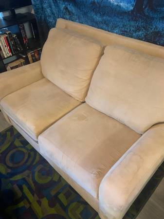Clean loveseat 1