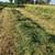 Baled Hay, Sm. square 4 thumbnail