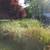 Pro Gardener* Fall Clean-up, Shape-up & Weeding 5 thumbnail