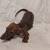 Weenie dog pup 1 thumbnail