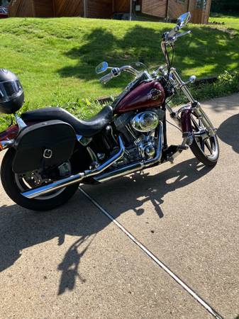 2002 Harley Davidson softtail standard 1