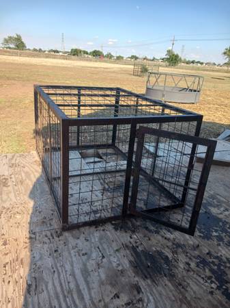 CAGE 1