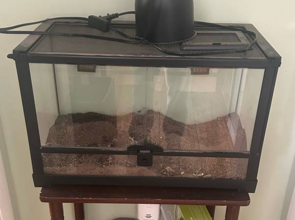 Reptile tank 1