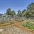 Fire Pit, Laundry Facility, 2 Bed 3 thumbnail