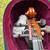 SOLD! REDUCED! Cello Carpathian W Hard Case made to M.E.N.C. spec OBO 4 thumbnail