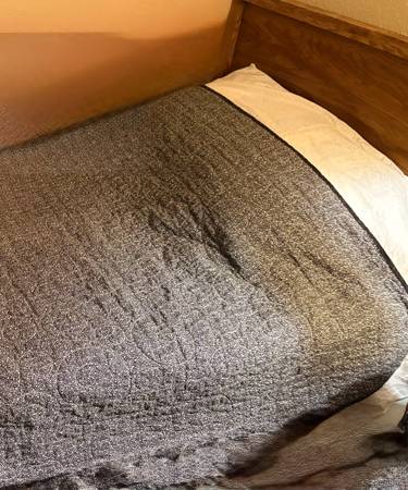 Free twin boxspring and frame 1