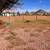 YARD SERVICES & CLEANUPS – PRESCOTT AREA 🌵 5 thumbnail