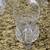 Vintage Cut Crystal Water Pitcher 8.5" H 12 thumbnail