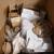 Small boxes used 2 thumbnail