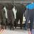 Rip Curl Wetsuit 1 thumbnail