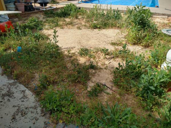 Landscaping , Hauling and More! 1