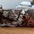 Mossy Oak Graphics Fender Flare Kit for Full Size Trucks 2 thumbnail