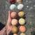Downsizing my flock 1-2yr old hens 4 thumbnail