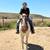 Paint mare 1 thumbnail