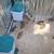 Quail 2 thumbnail