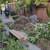 Yard Maintenance 4 thumbnail