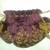 Potli Bag 3 thumbnail