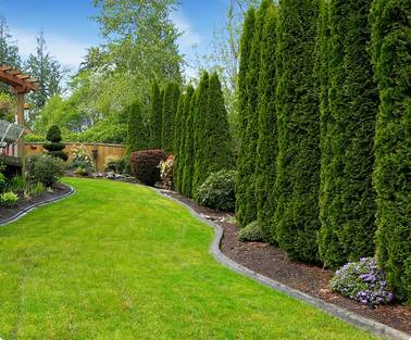 Landscaping 1