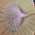Beautiful yellow parasol 5 thumbnail