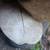 African Elephant Head 16 thumbnail