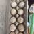 Duck eggs 2 thumbnail