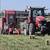 Horse Hay small bales or big bales available 4 thumbnail